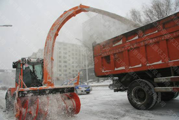 ��ѩ�Cϵ��